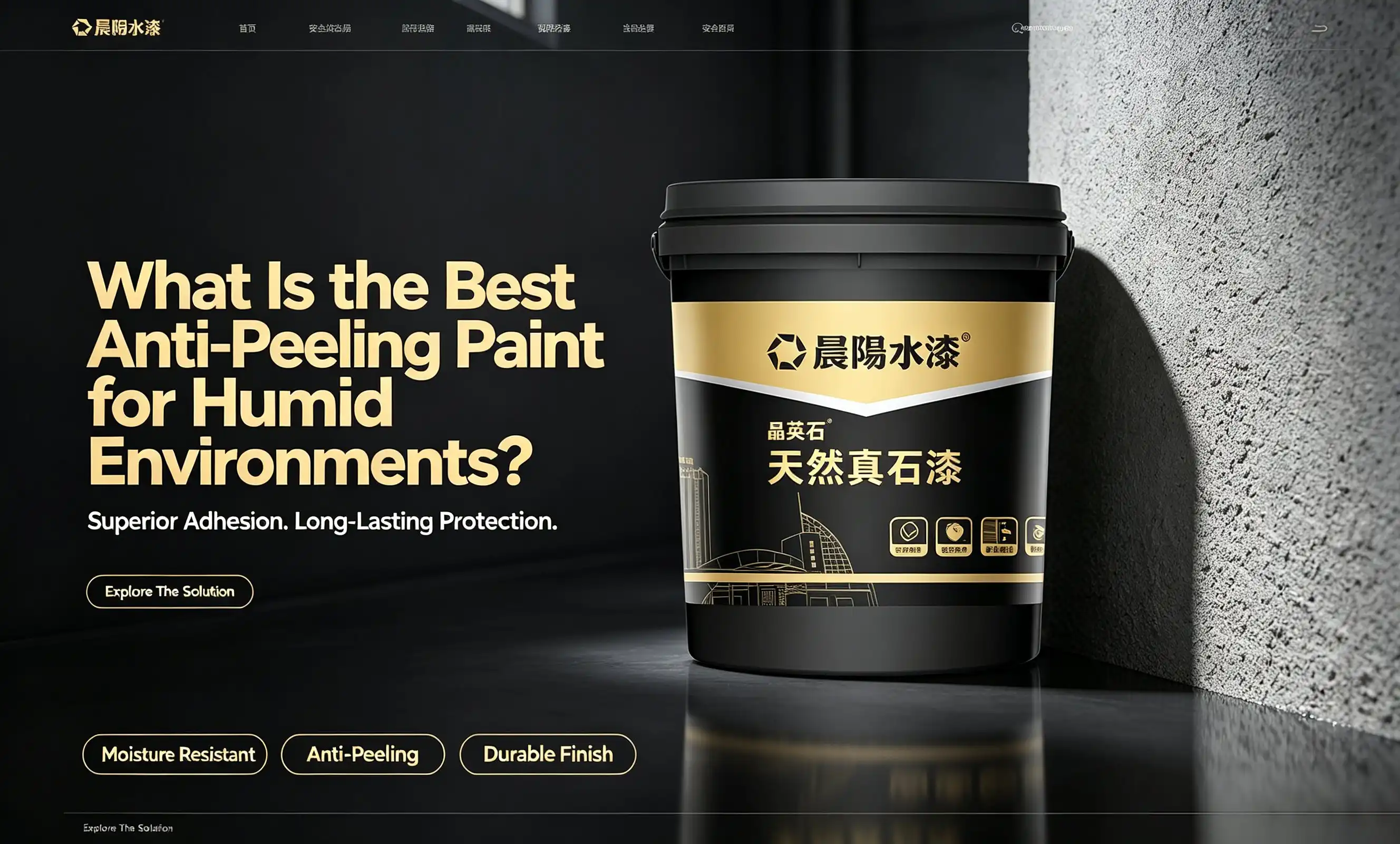 What Is the Best Anti-Peeling Paint for Humid Environments?